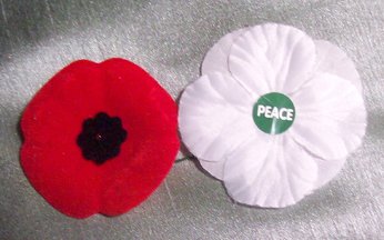 A white and a red poppy.